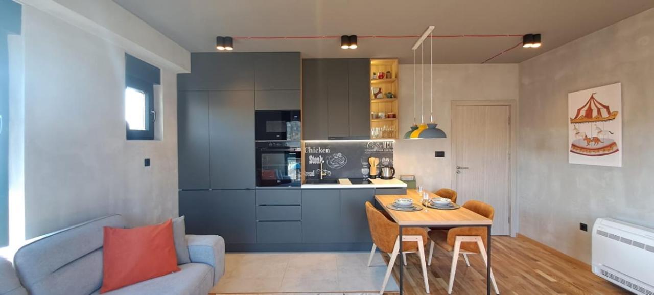 Stylish One Bedroom Apartment ポドゴリツァ エクステリア 写真